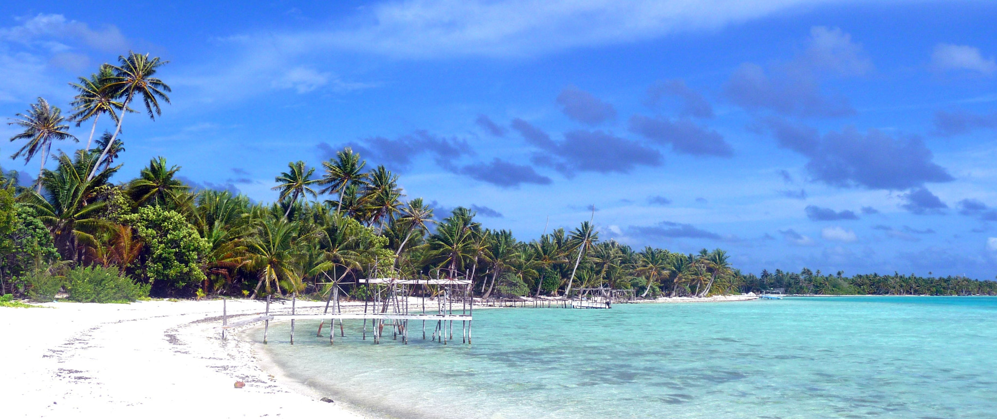 Une plage de Maupiti bordée de cocotiers et son eau turquoise.